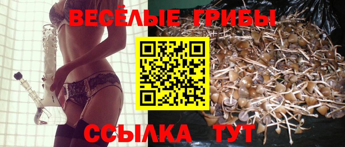 Галлюциногенные грибы GOLDEN TEACHER Ялта