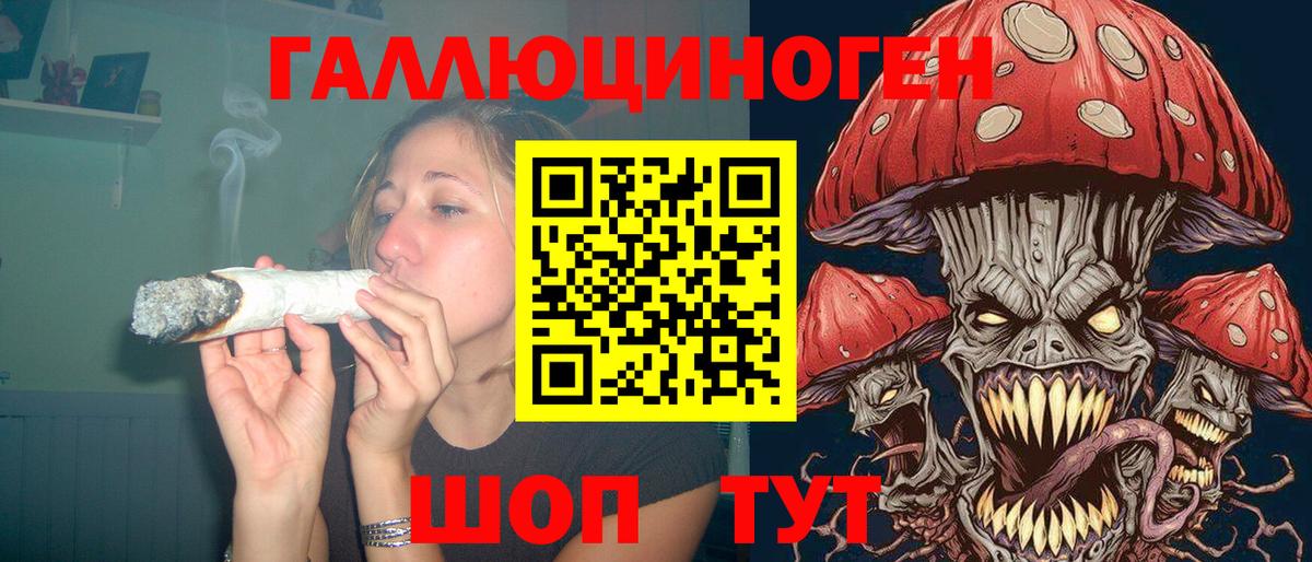 Ялта  Псилоцибиновые грибы Cubensis  Вход с VPN 